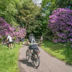Najlepsze trasy rowerowe w Pszczynie - odkryj piękno regionu