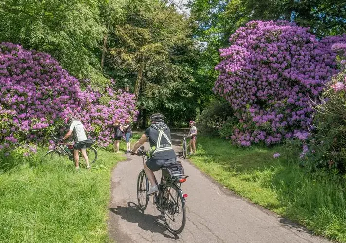 Najlepsze trasy rowerowe w Pszczynie - odkryj piękno regionu