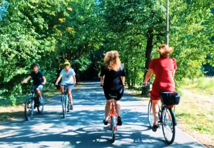 Trasa rowerowa Opole Turawa - odkryj piękne widoki i wyzwania